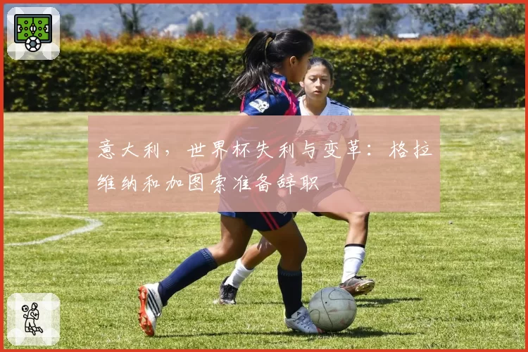 意大利，世界杯失利与变革：格拉维纳和加图索准备辞职