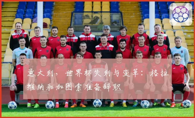 意大利，世界杯失利与变革：格拉维纳和加图索准备辞职