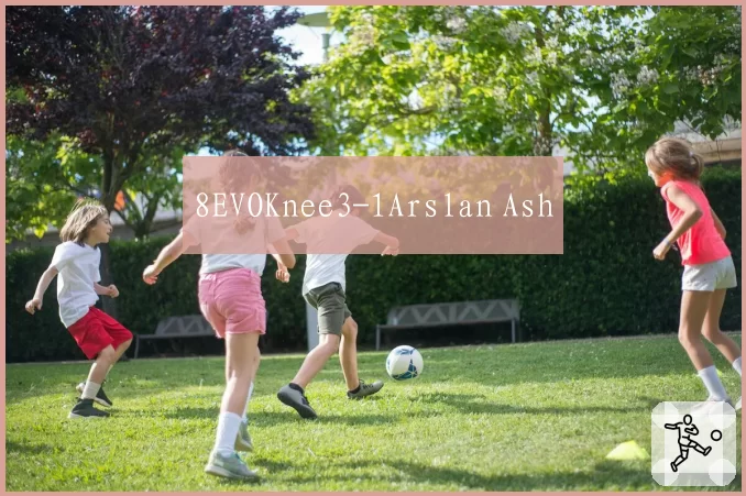 8EVOKnee3-1Arslan Ash