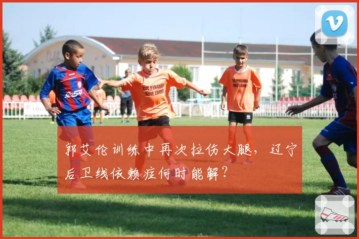 郭艾伦训练中再次拉伤大腿，辽宁后卫线依赖症何时能解？
